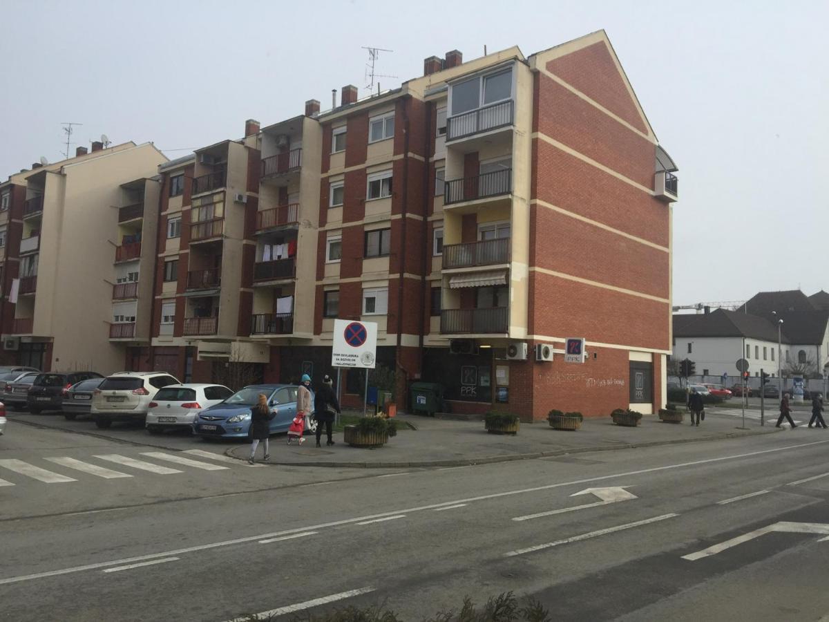 Studio Apatrman Pijalovic Bjelovar Esterno foto